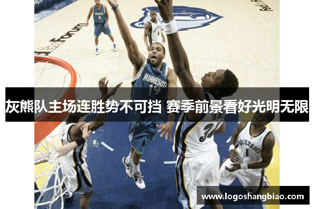 灰熊队主场连胜势不可挡 赛季前景看好光明无限