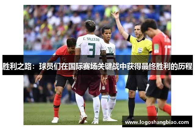 胜利之路：球员们在国际赛场关键战中获得最终胜利的历程
