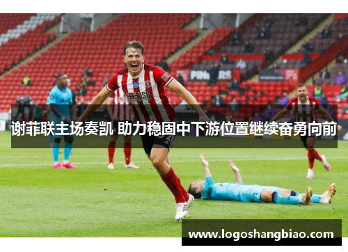 谢菲联主场奏凯 助力稳固中下游位置继续奋勇向前