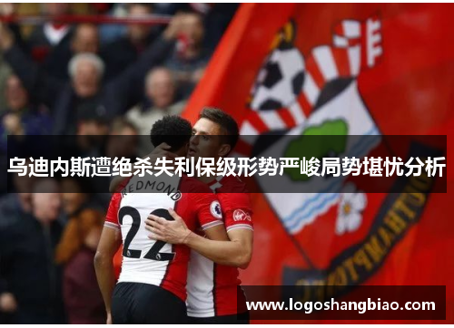 乌迪内斯遭绝杀失利保级形势严峻局势堪忧分析