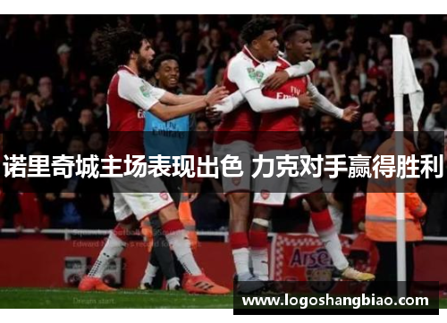 诺里奇城主场表现出色 力克对手赢得胜利