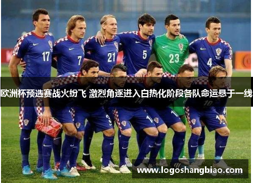 欧洲杯预选赛战火纷飞 激烈角逐进入白热化阶段各队命运悬于一线