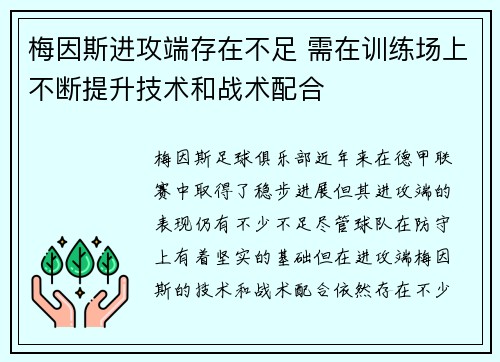 梅因斯进攻端存在不足 需在训练场上不断提升技术和战术配合