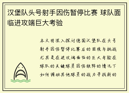 汉堡队头号射手因伤暂停比赛 球队面临进攻端巨大考验