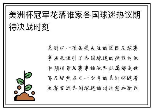 美洲杯冠军花落谁家各国球迷热议期待决战时刻